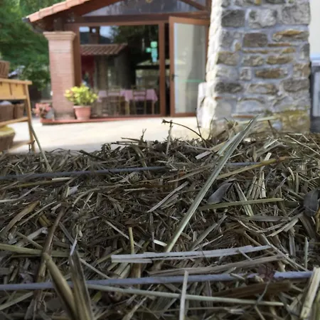 Agriturismo Sapori Del Parco