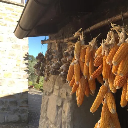 Agriturismo Sapori Del Parco Lantgård *